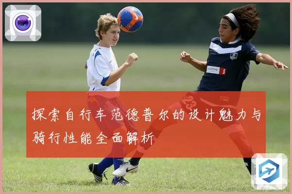 探索自行车范德普尔的设计魅力与骑行性能全面解析