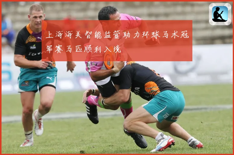 上海海关智能监管助力环球马术冠军赛马匹顺利入境