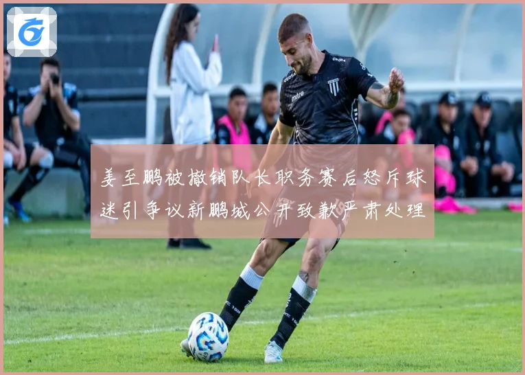 姜至鹏被撤销队长职务赛后怒斥球迷引争议新鹏城公开致歉严肃处理赛事前瞻