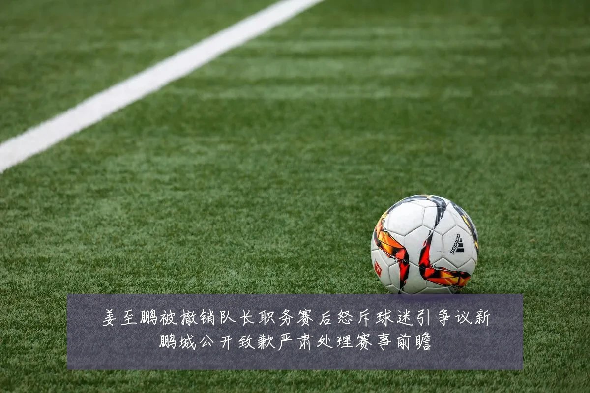 姜至鹏被撤销队长职务赛后怒斥球迷引争议新鹏城公开致歉严肃处理赛事前瞻