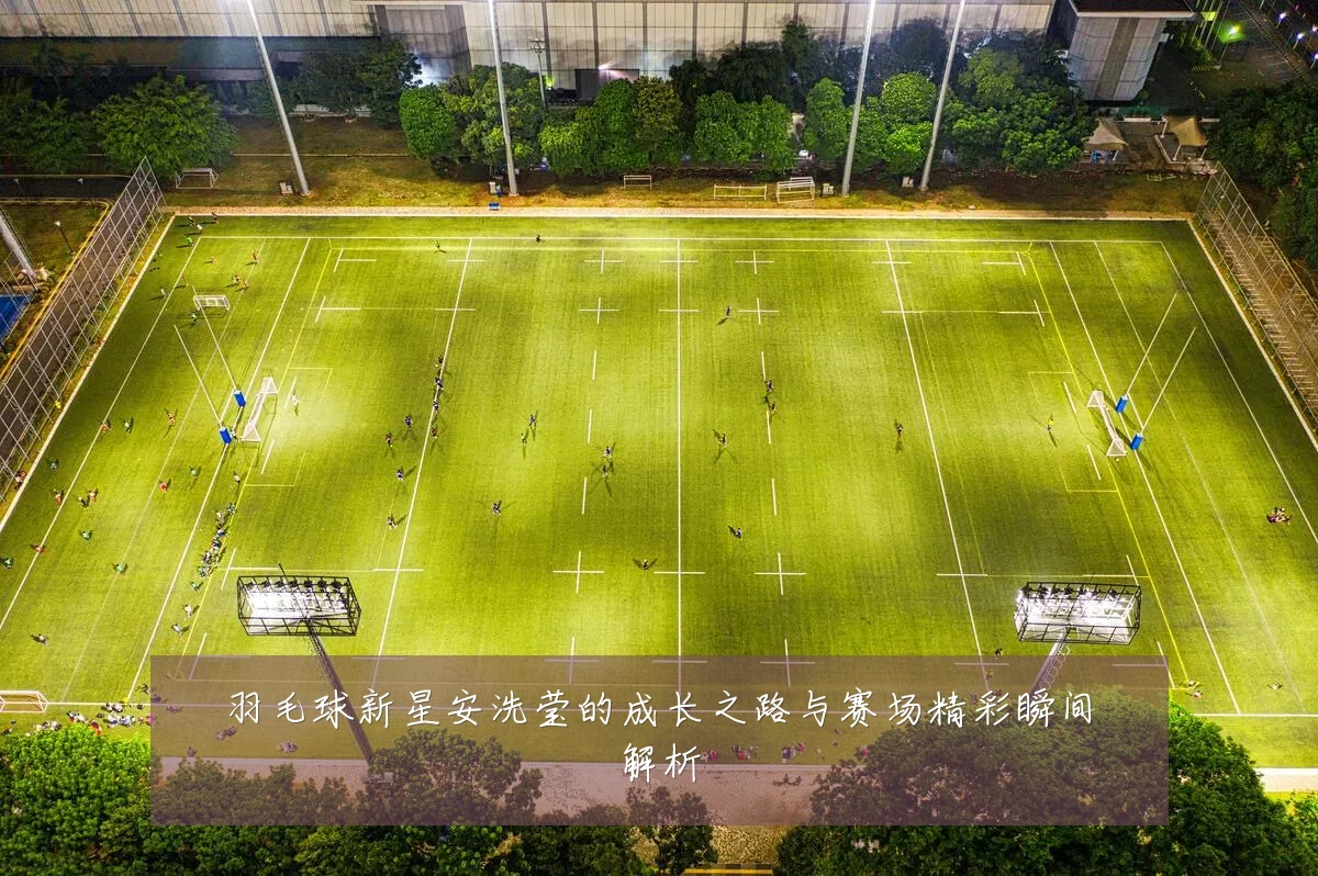 羽毛球新星安洗莹的成长之路与赛场精彩瞬间解析
