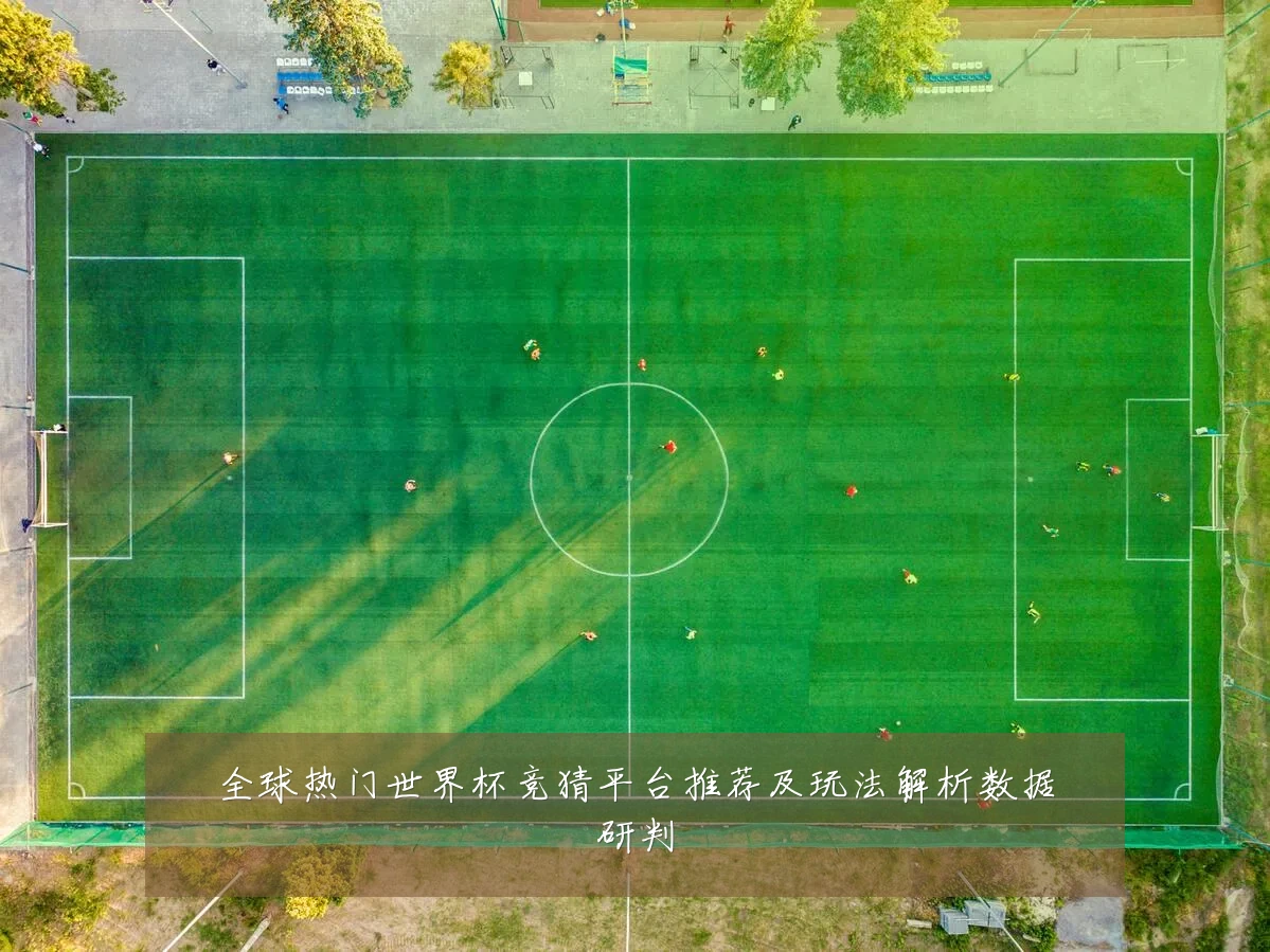 全球热门世界杯竞猜平台推荐及玩法解析数据研判